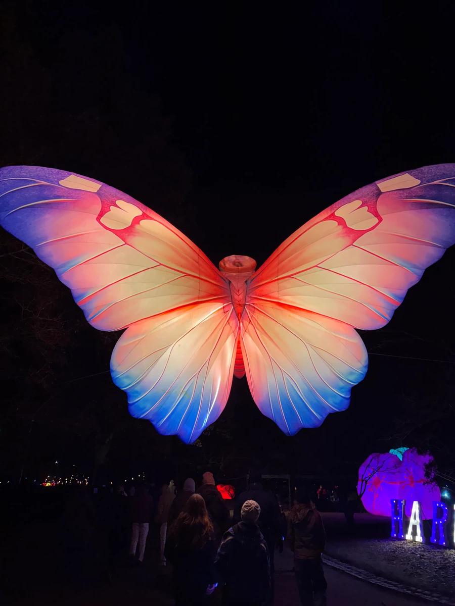 17 dagen Lichtfestival
