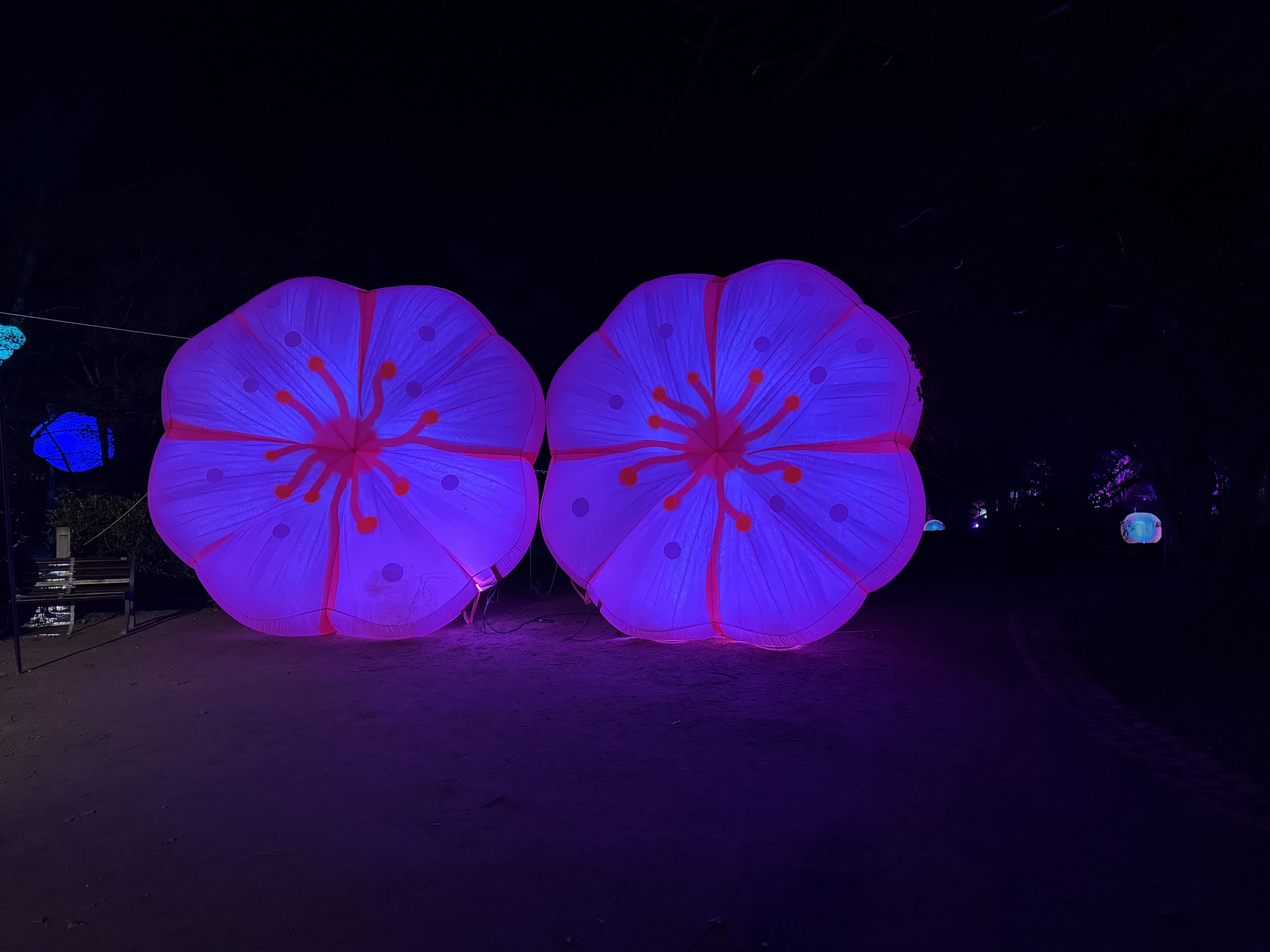 17 days of Lichtfestival
