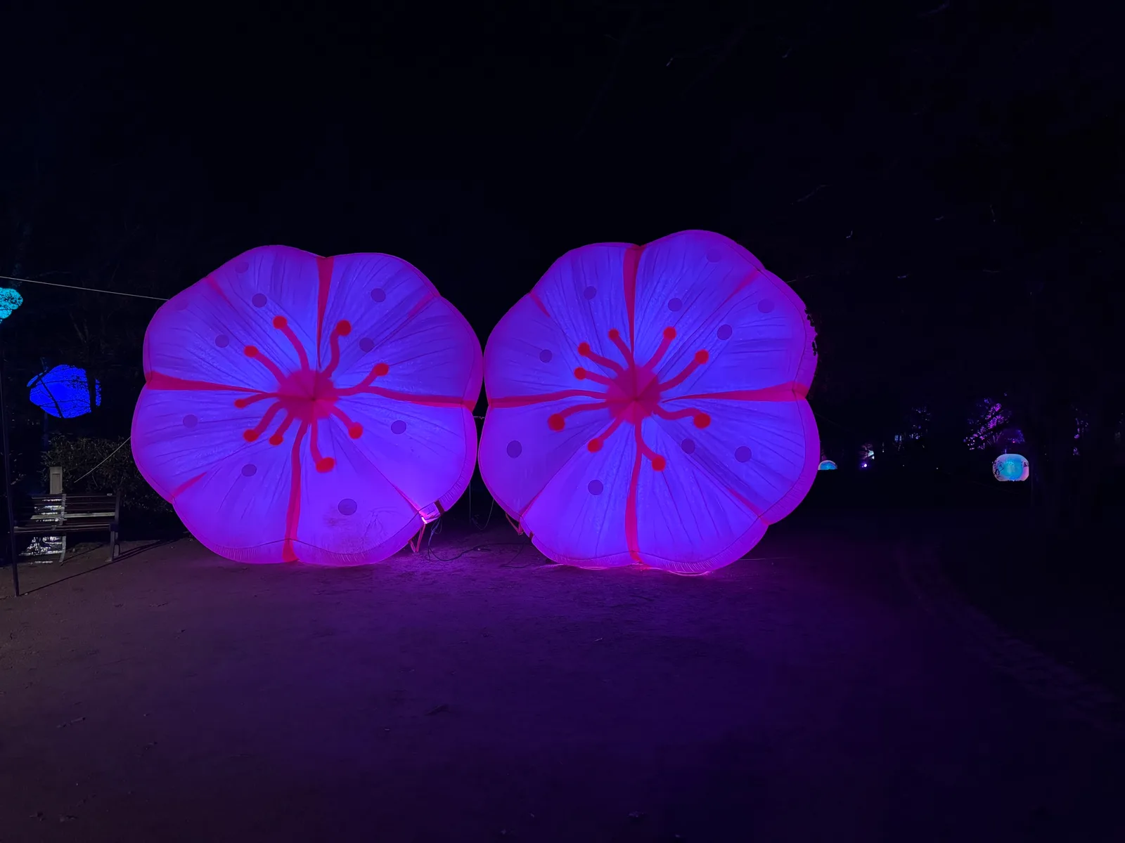 17 dagen Lichtfestival