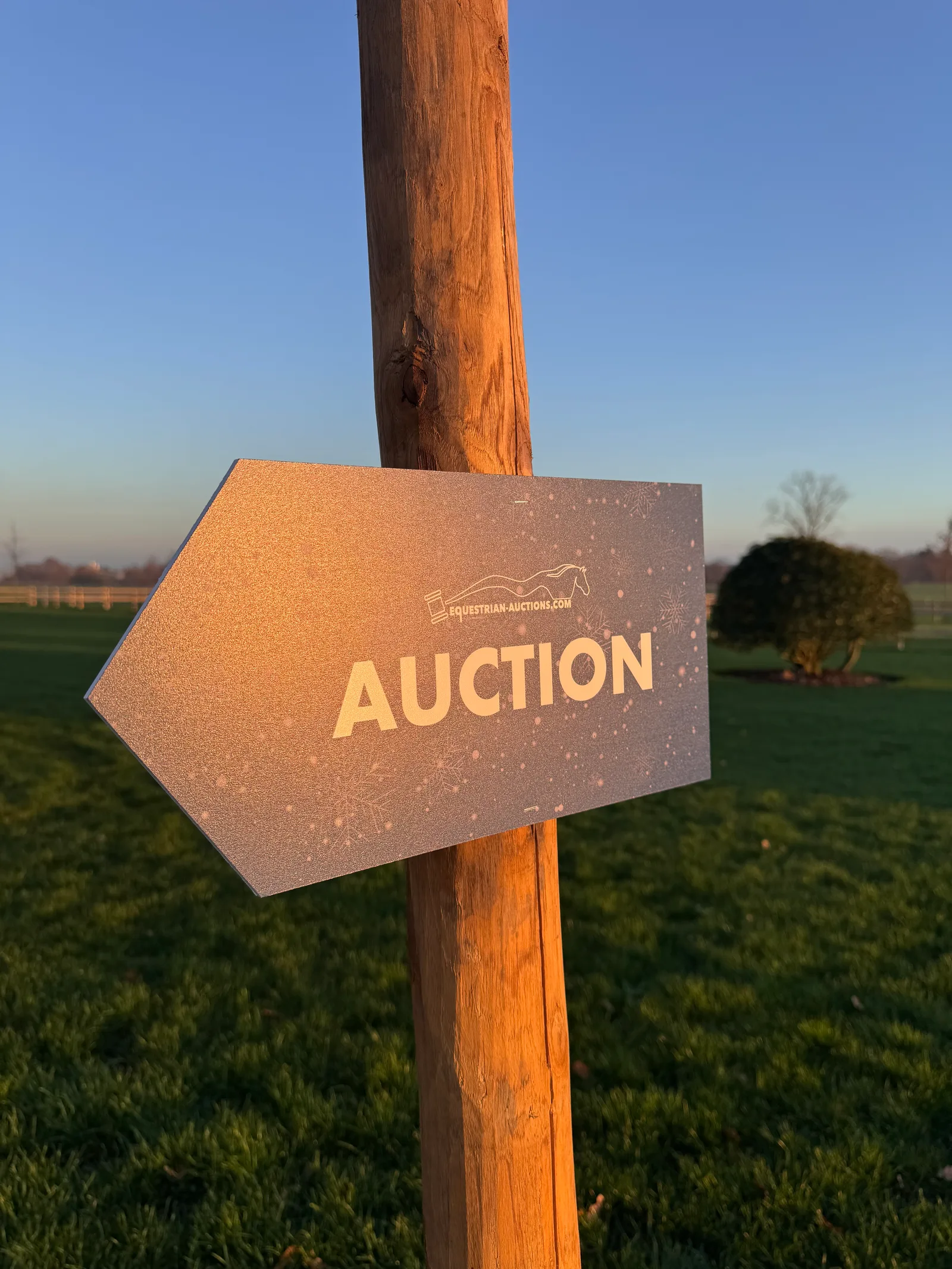 Een veiling zonder grenzen: hoe Astro Rent de connectiviteit verzorgde voor Equestrian Actions
